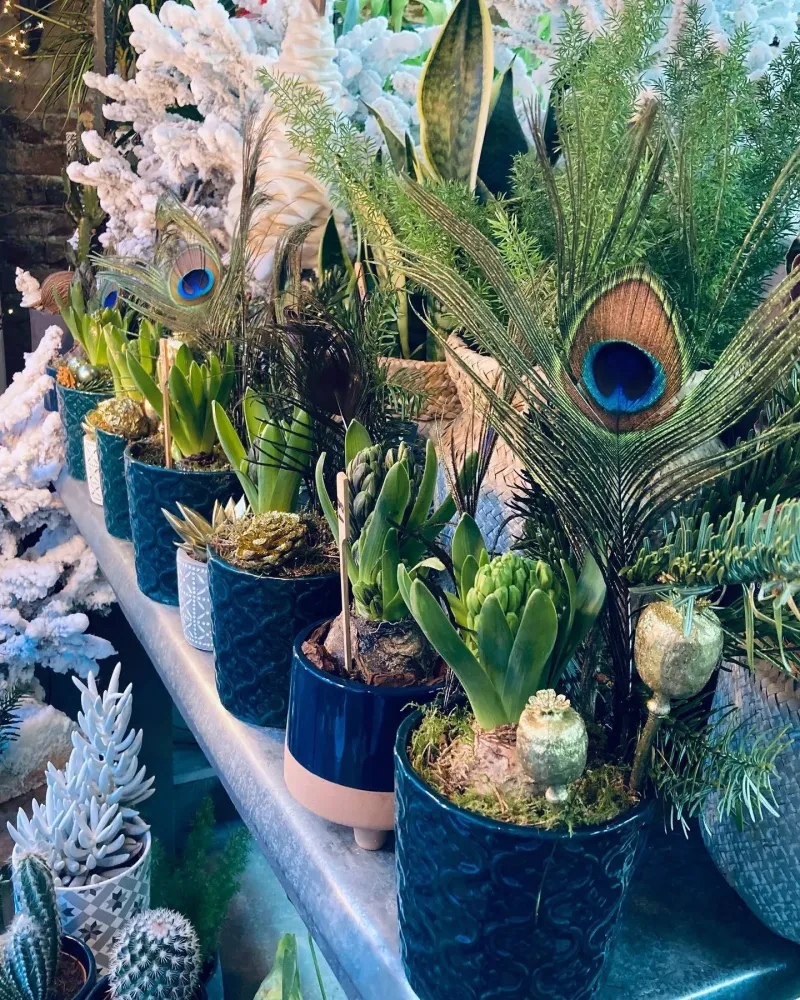 Plantes à Yerres